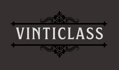 VintiClass logo name